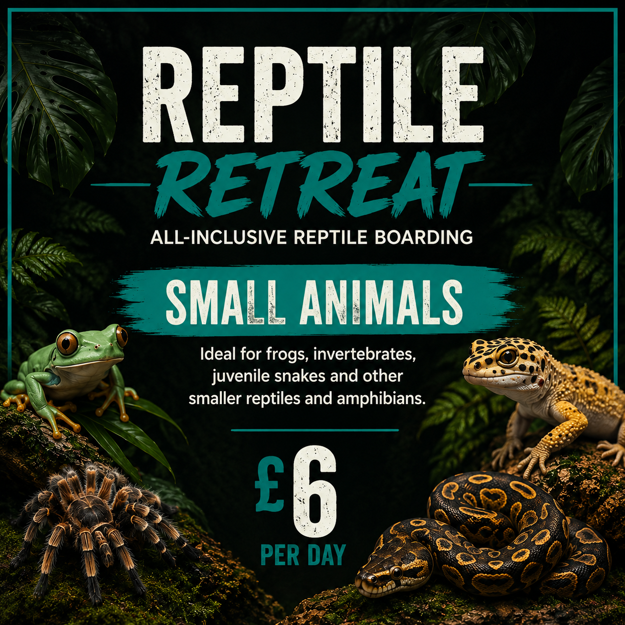Small Animal Boarding - Tropical Supplies