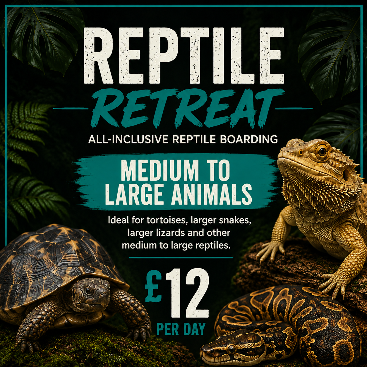 Medium To Large Animal Boarding - Tropical Supplies