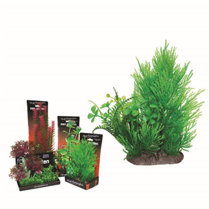 Hugo Boxed Plant Mix 6 22Cm - Tropical Supplies North East