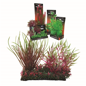 Hugo Boxed Plant Mix 8 15Cm - Tropical Supplies North East