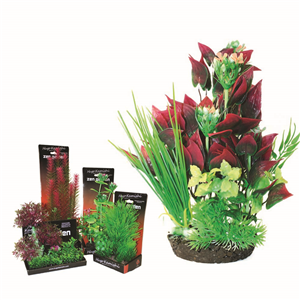 Hugo Boxed Plant Mix 7 28Cm - Tropical Supplies North East