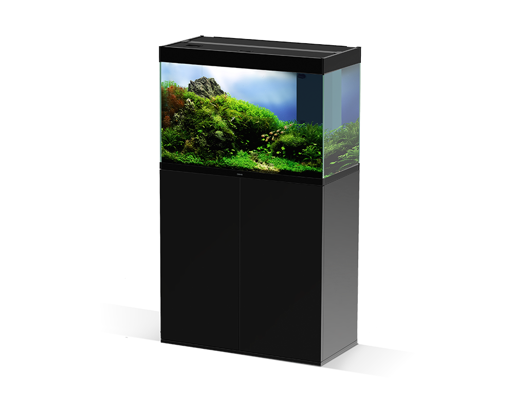 Ciano Emotions PRO 80 Black - Tropical Supplies North East