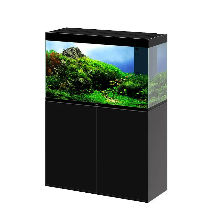 Ciano Emotions PRO 100 Black - Tropical Supplies