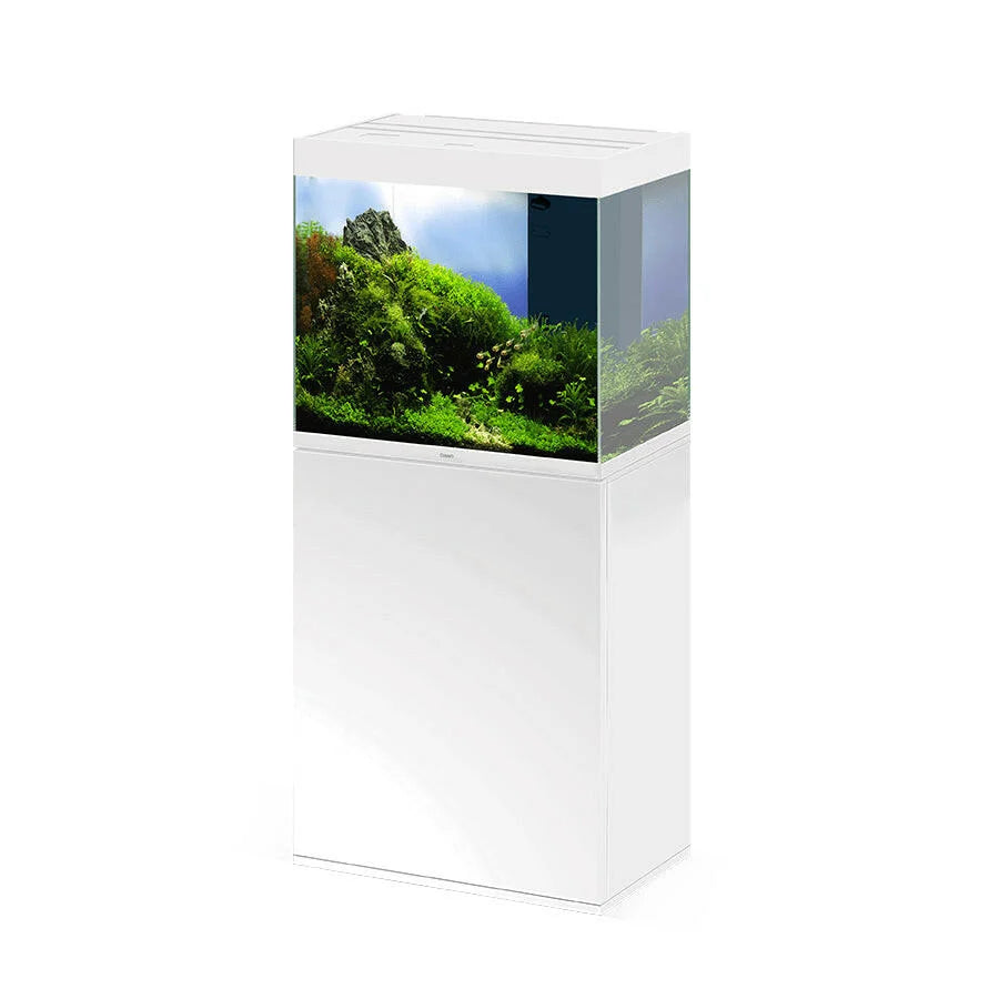 Ciano Emotions PRO 60 White - Tropical Supplies
