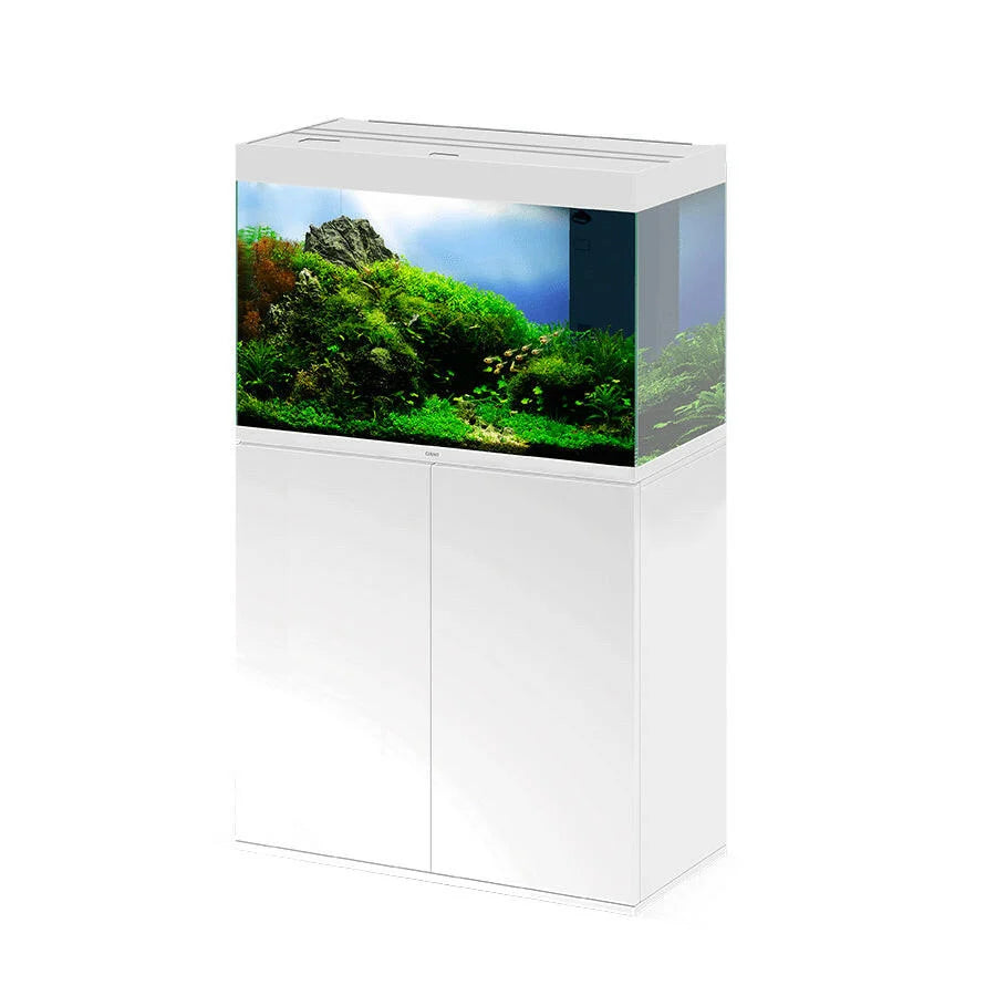 Ciano Emotions PRO 80 White - Tropical Supplies