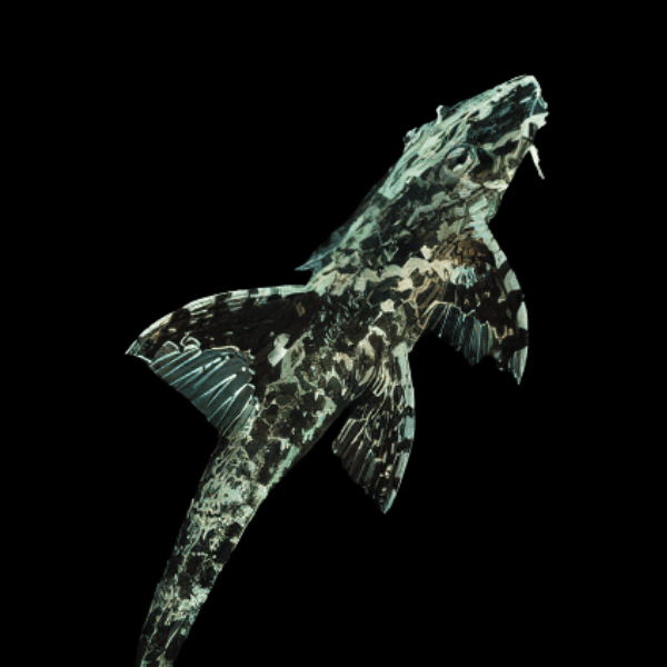 Green Whiptail 5-6cm