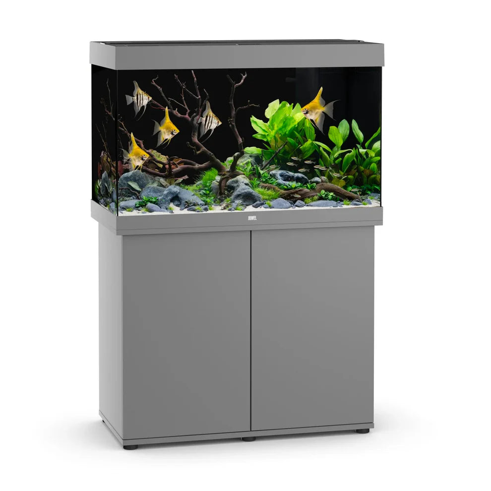 Juwel Rio 290 Aquarium Set Grey - Tropical Supplies