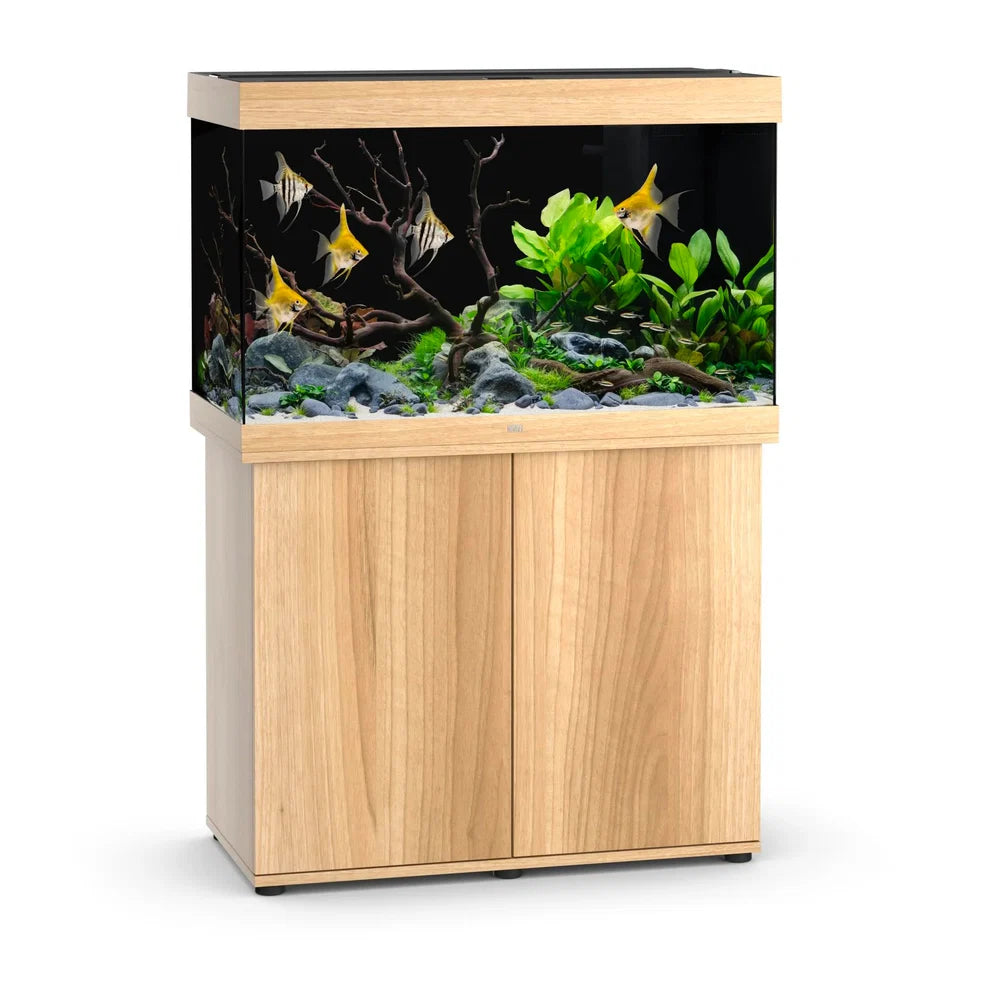 Juwel Rio 290 Aquarium Set Light Wood - Tropical Supplies