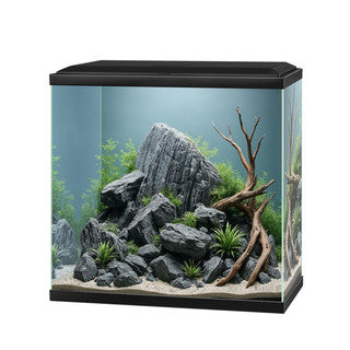 Freshwater Aquariums - Tropical Supplies