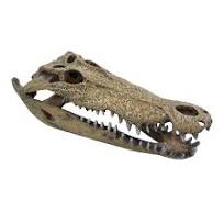 Repto Decor Crocodile XXL