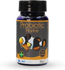 NTlabs Probiotic Marine Granule 100g