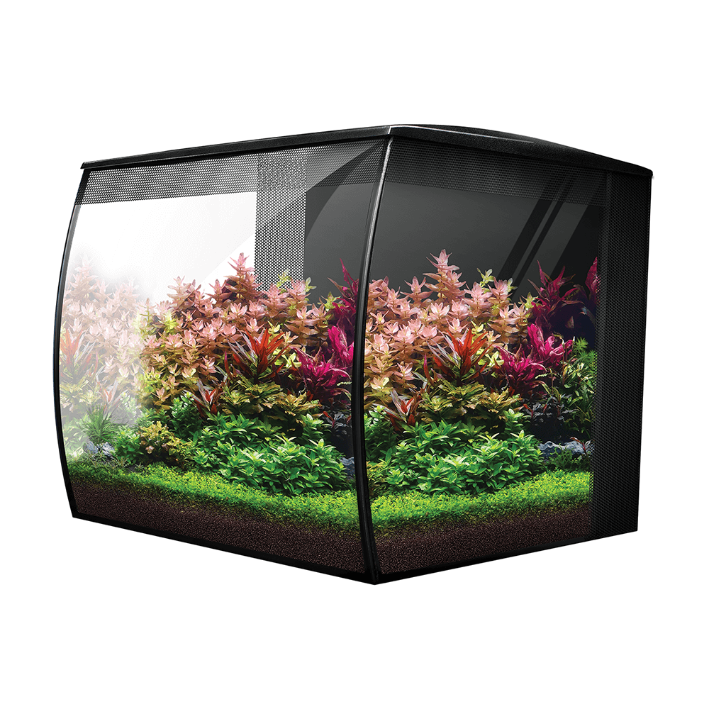 Freshwater Aquariums - Tropical Supplies