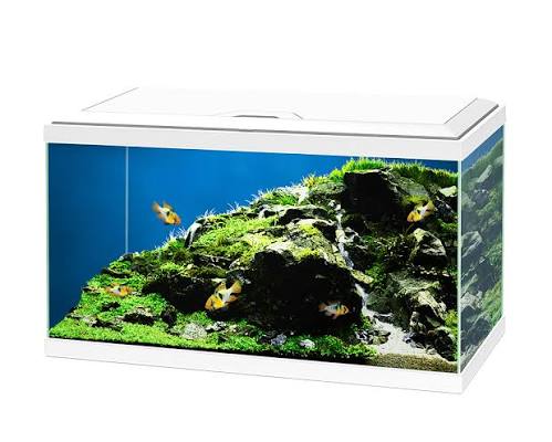 Ciano Aqua 60 LED White