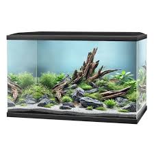 Ciano Aqua 60 Plus Black