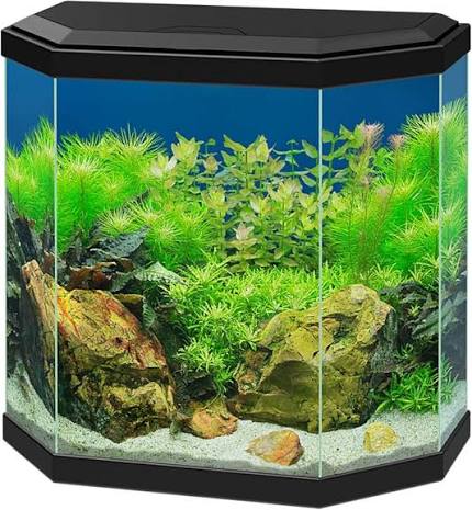 Ciano Aqua 30 HEX LED Black