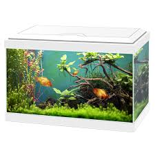 Ciano Aqua 20 Classic White