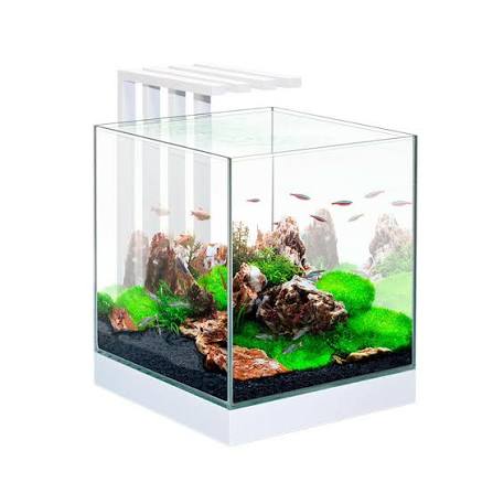 Ciano Nexus 25