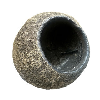 Sapucaia Seed Pod 12-15cm