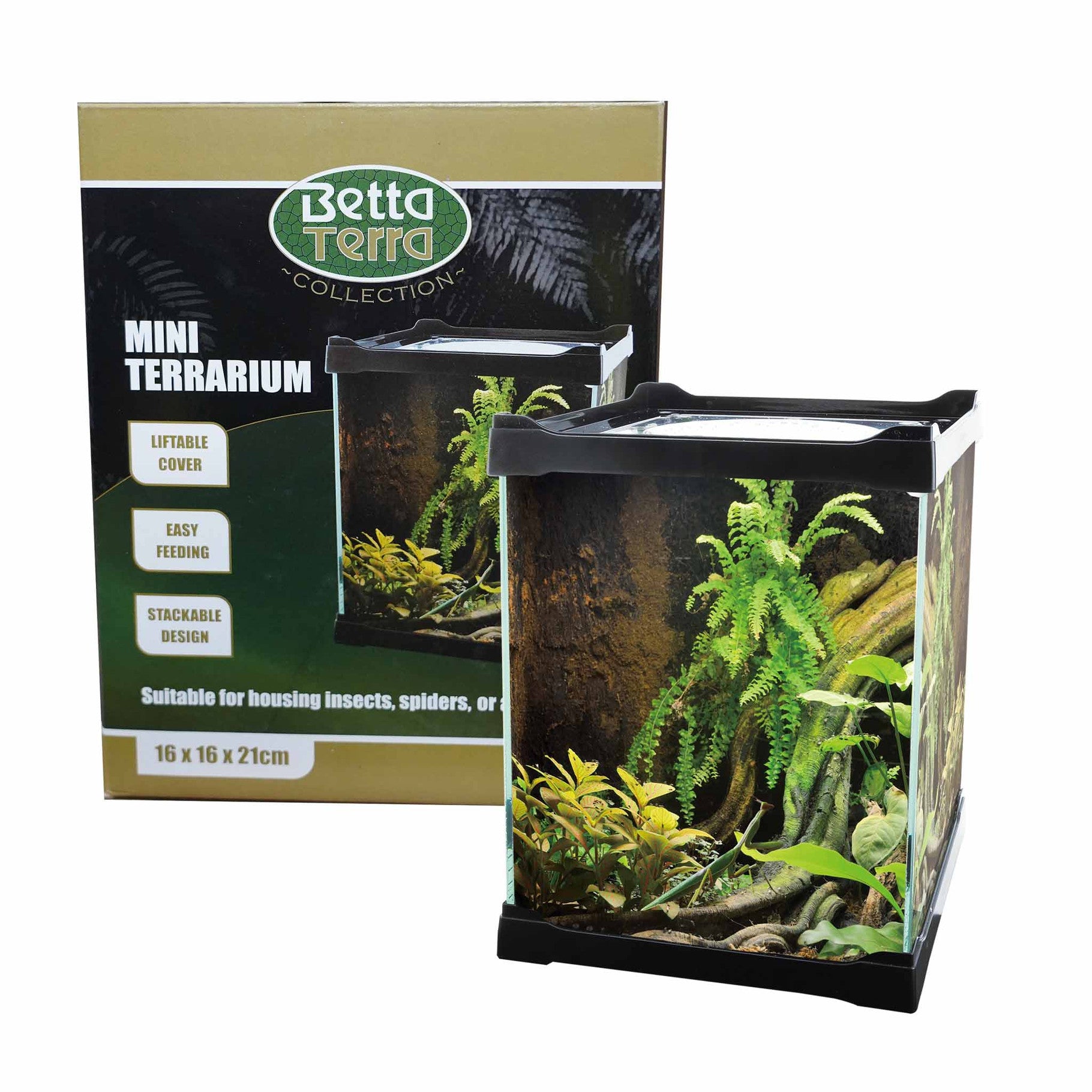 Betta Terra Black Mini Terrarium 16 x 16 x 21cm