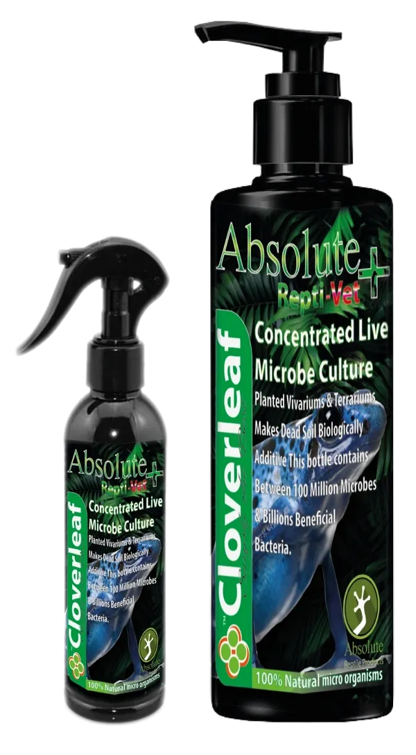Cloverleaf Absolute+ Repti-Vet Concentrated Live Microbe Culture 100ml