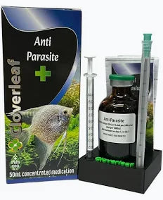 Cloverleaf Anti- Parasite