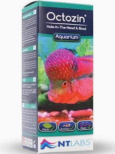 NTlabs Octozin Hole In The Head & Bloat 250ml