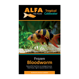 ALFA Bloodworm Blister 100g - Tropical Supplies North East