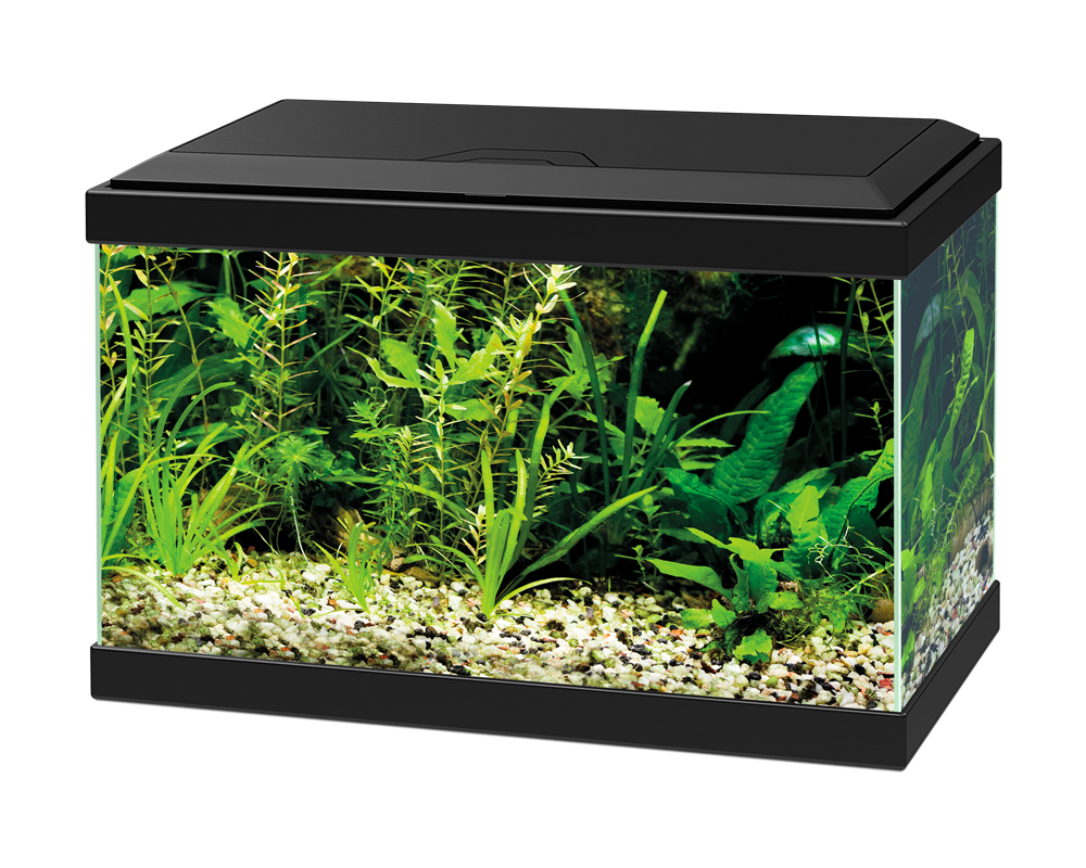 Ciano Aqua 20 LED Black - Tropical Supplies North East