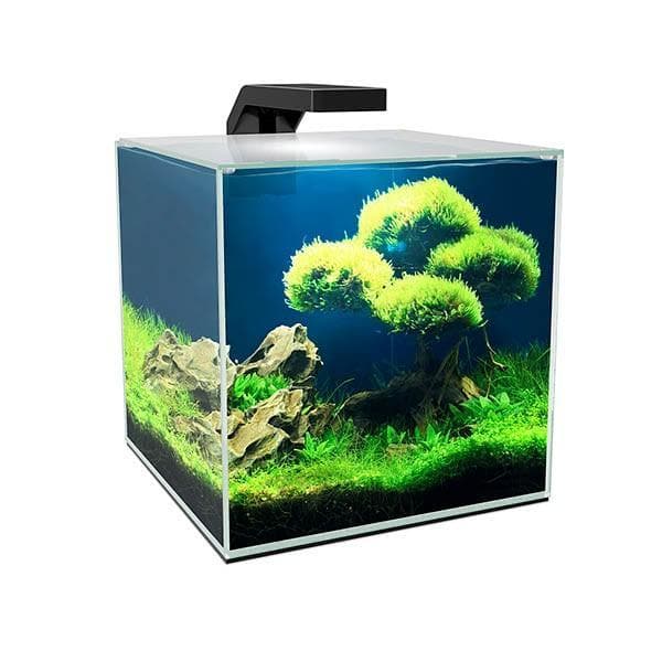 Ciano Cube 10 £43.99 Tropical Supplies North East