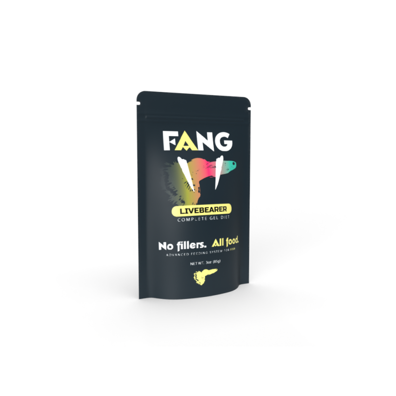 Fang Livebearer 3oz £13.99 Tropical Supplies North East