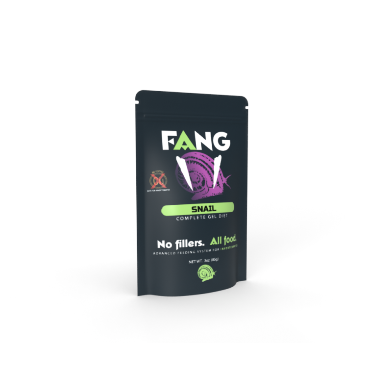 Fang Snail 3oz - Tropical Supplies North East
