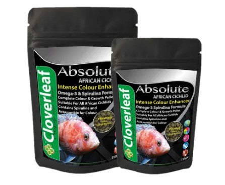 Cloverleaf Absolute African Cichlid Colour Enhancer Food £14.99 Tropical Supplies North East