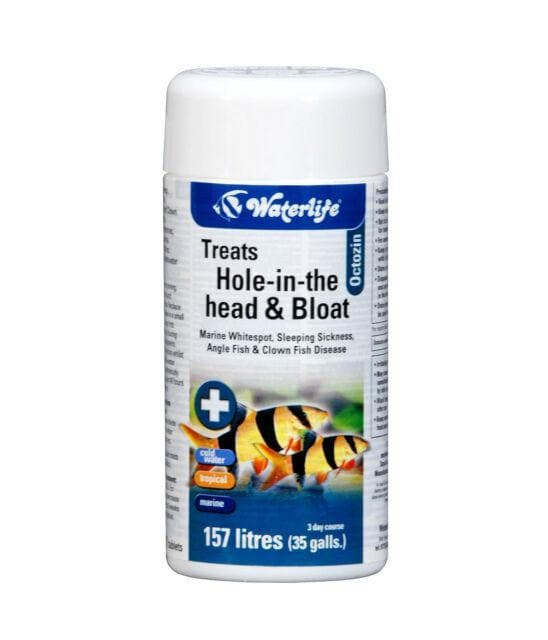 Waterlife Octozin Treatment Hole In The Head & Internal Parasites 21 Tablets £5.99 Tropical Supplies North East
