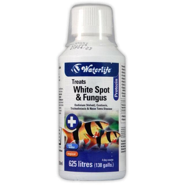 Waterlife Protozin 100ml White Spot & Fungus Treatment - Tropical Supplies North East